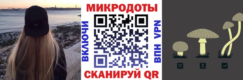 наркошоп Аша Псилоцибиновые грибы GOLDEN TEACHER